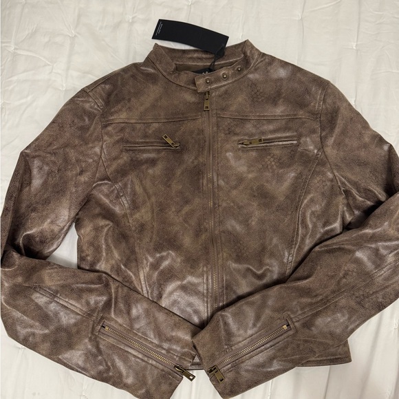 LIONNESS JACKET - Picture 4 of 5